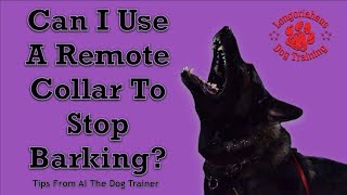 Can I Use A Remote Collar To Stop Excessive Barking  Tips From Al The Dog Trainer [upl. by Ridinger]