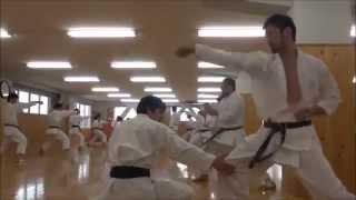 Training at JKA Japan Karate Association Honbu Dojo [upl. by Yssim823]