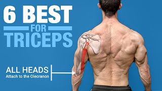 6 BEST Triceps Exercises ANATOMY BASED [upl. by Elvia]