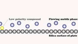 Chromatographic Separation Explained [upl. by Toile905]