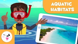 Explore Aquatic Habitats  Types of Habitats for Kids [upl. by Latnahs397]