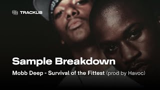 Sample Breakdown Mobb Deep  Survival of the Fittest [upl. by Aramahs]