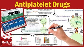 Pharmacology CVS 20 Antiplatelet Drugs Mechanism Of Action  Aspirin  Clopidogrel  Cilostazol [upl. by Nivahb]