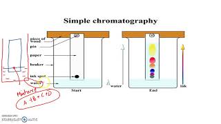 Chromatography  Organic Chemistry  IIT JEE NEET CBSE [upl. by Uriah]