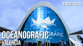 Oceanografic Valencia Largest Marine Park of Europe  🇪🇸 Spain 4K HDR Walking Tour [upl. by Laureen968]