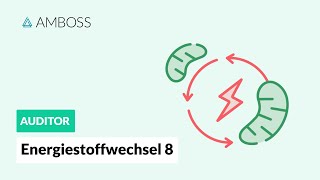 Energiestoffwechsel Teil 8  Anaerobe Energiegewinnung  AMBOSS Auditor [upl. by Atinauj]