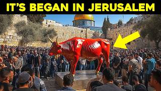 Jerusalem Prepares For Jesus To Return [upl. by Watt95]