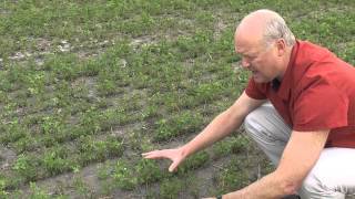 Dryland Pastures  Effective irrigation of lucerne alfalfa [upl. by Monetta]