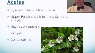 Euphrasia Tip Video [upl. by Annwahsal]