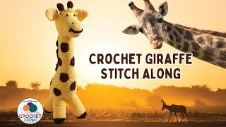 How to Crochet Easy Red Heart Giraffe Plush Amigurumi [upl. by Leahcimrej903]