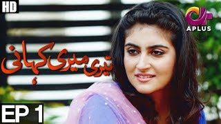 Teri Meri Kahani  Episode 1  A Plus Drama  Agha Ali Hiba Qadir Fahad Rehmani  C8A1 [upl. by Thgiled]