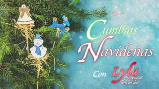 ¡CUMBIAS NAVIDEÑAS EXITOS GRANDES MIX DICIEMBRE 2020 [upl. by Ainehta]