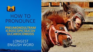 How to pronounce quotpneumonoultramicroscopicsilicovolcanoconiosisquot 😆 longest word in English [upl. by Nagem]