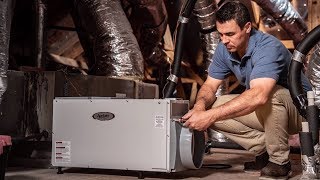 Whole House Dehumidifiers Pros amp Cons  Sylvane [upl. by Anehsak714]