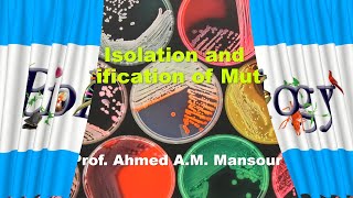 Isolation and identification of Mutant Bacteria [upl. by Aretina753]