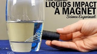 How Liquids Impact a Magnet Experiment [upl. by Katharina]