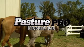 How To Use Gordon’s® Pasture Pro® Herbicide [upl. by Charlean]