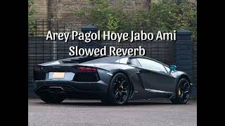 Are Pagol Hoye Jabo Ami   Slowed amp Reverb [upl. by Ekaj]