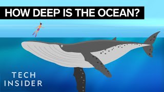 This Incredible Animation Shows How Deep The Ocean Really Is [upl. by Miltie]