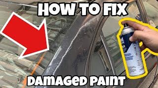 The CHEAPEST Way to Permanently Fix Peeling Paint [upl. by Willet39]