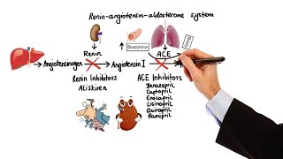 Pharmacology  HYPERTENSION amp ANTIHYPERTENSIVES MADE EASY [upl. by Merow758]