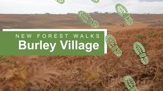 New Forest walks Burley village [upl. by Grannia]