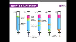 Chromatography AQA A level Chemistry [upl. by Aynotel]