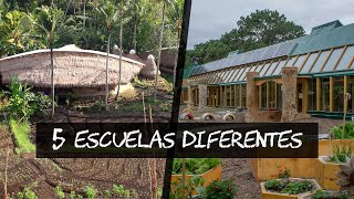 5 ESCUELAS con métodos de ENSEÑANZA diferentes [upl. by Grania752]