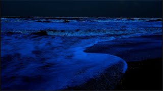 Ocean Waves for Deep Sleeping Ocean Sounds at Night for Sleep and Eliminate Stress [upl. by Petie]