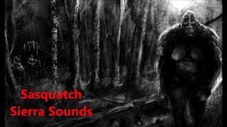 Sasquatch Sierra Sounds by Ron Morehead amp Al Berry in HD [upl. by Ialokin]