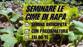 SEMINARE LE CIME DI RAPA [upl. by Eilyab325]