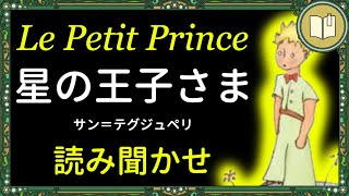 【眠くなる声】読み聞かせ『星の王子さま』全編 【睡眠導入】 [upl. by Gordy769]