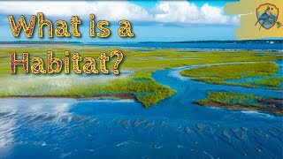 What Is A Habitat  Educational Videos for Kids [upl. by Apeed]