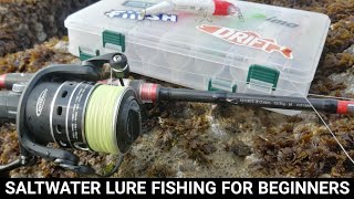 SALTWATER LURE FISHING FOR BEGINNERS  WHERE TO START SEA FISHING UK [upl. by Fitton]