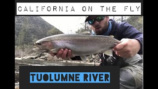 CALIFORNIA ON THE FLY TUOLUMNE RIVER [upl. by Adihsar]