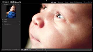 Lightroom 5 Cómo hacer Zoom en Lightroom [upl. by Nalced]
