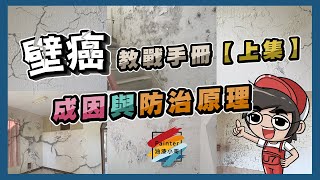 壁癌處理《上集》，教戰手冊 根治「壁癌」要從原理了解【油漆小哥】丨壁癌如何處理丨壁癌原因丨壁癌漆丨壁癌形成的成因丨白華與白毛丨鈣離子丨碳酸鈣丨矽酸質油漆丨虹牌壁癌包丨外牆漏水丨浴室漏水 [upl. by Lecroy760]