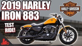 2019 HarleyDavidson Iron 883 TEST RIDE [upl. by Laeahcim]