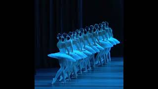 Beautiful Bolshois corps de ballet in Swan Lake [upl. by Funk827]