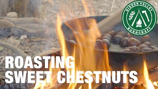 Campfire Cooking  How to Roast Chestnuts [upl. by Aida1]