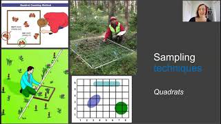 Ecological field sampling [upl. by Siraval409]