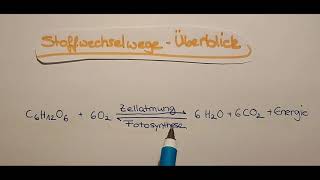 Stoffwechselwege im Überblick [upl. by Nired]