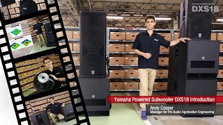 Yamaha Powered Subwoofer DXS18 Introduction [upl. by Lail]