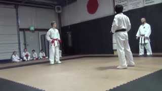 Karate Class Sparring 02012014 [upl. by Nnaer]