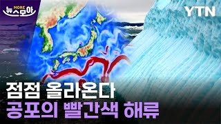 뉴스모아 파멸적 후폭풍…해수면이 상승하면 벌어지는 일  YTN [upl. by Sabec]