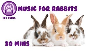 Relaxation Music or Rabbits Rabbit Music to Help Calm Down your Bunny [upl. by Kralc]