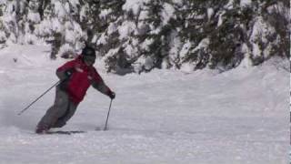 CANSI Presents Skiing Standards  Telemark [upl. by Nnaeerb]