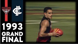 1993 AFL Grand Final  Essendon Vs Carlton Extended Highlights [upl. by Aicela]