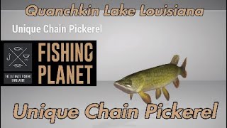 Unique Chain Pickerel  Quanchkin Lake Louisiana  Fishing Planet Guide [upl. by Ketty]