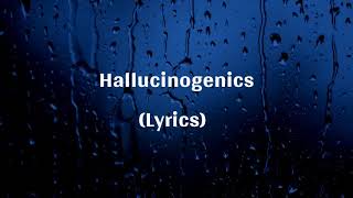 Matt Maeson  Hallucinogenics Lyrics [upl. by Aerdnaed318]